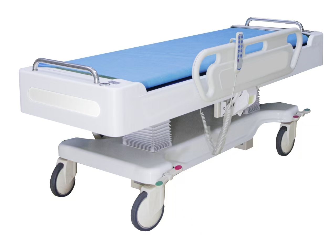 Rayland Electric Transfer Bed
